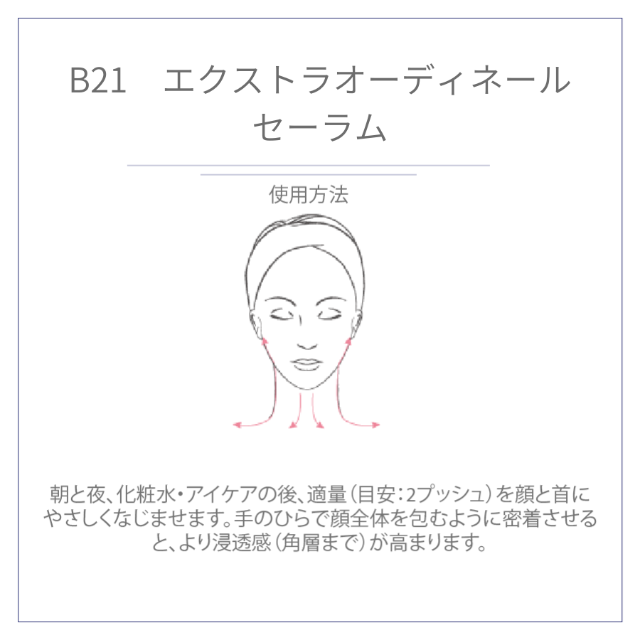 B21 エクストラオーディネール セーラム